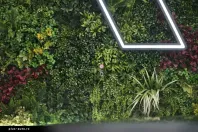 Skoda Octavia din 2023 cu 60.351 km - oferta SKO179661 - foto 27