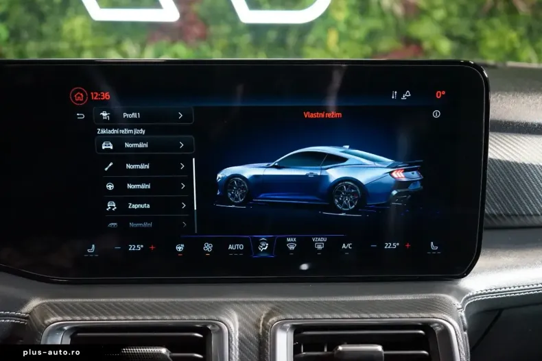 Ford Mustang din 2024 cu 18.700 km - oferta FOR179662 - foto 24