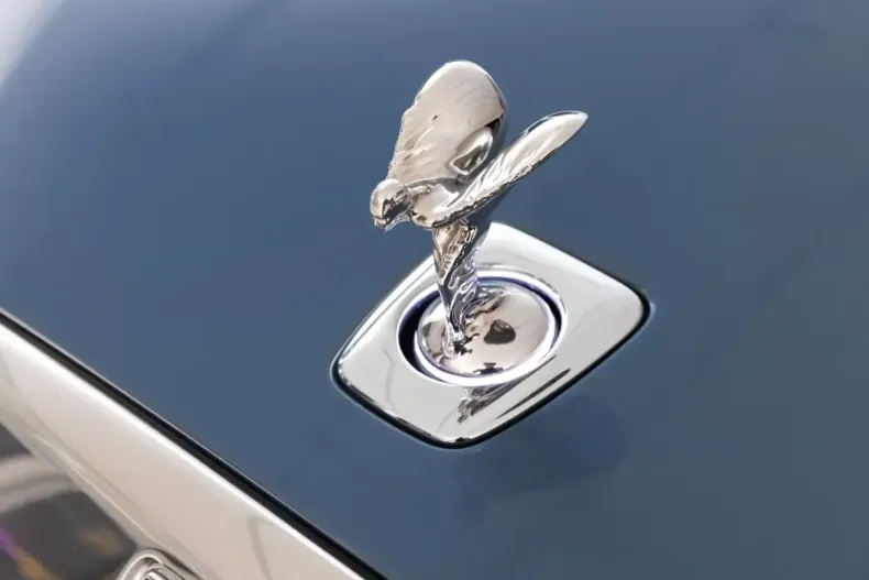 Rolls-Royce Spectre din 2024 cu 30.151 km - oferta ROL180397 - foto 15