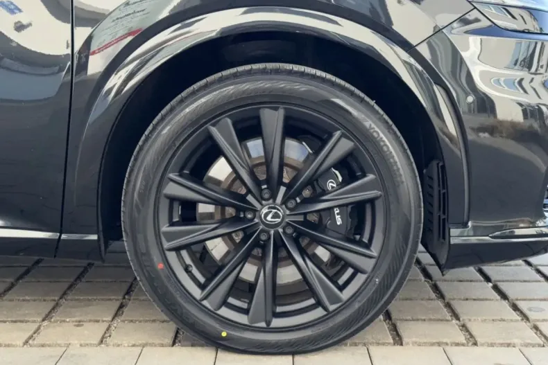 Lexus RX 500 din 2024 cu 8.959 km - oferta LEX180760 - foto 21