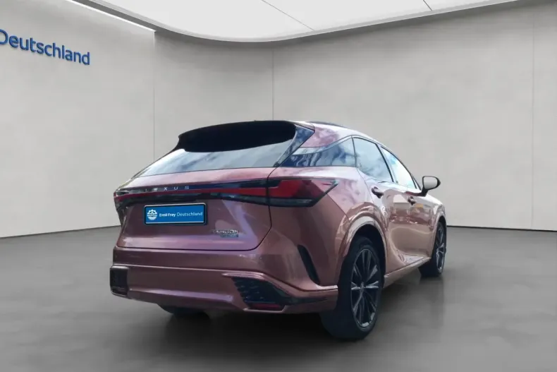 Lexus RX 500 din 2026 cu 50 km - oferta LEX180976 - foto 6