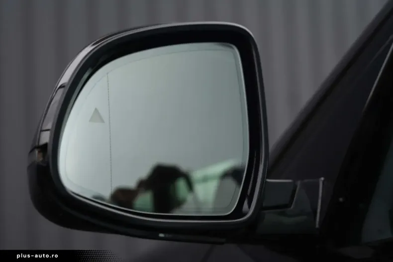 BMW X4 din 2023 cu 127.234 km - oferta BMW181076 - foto 13