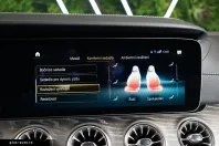 Mercedes-Benz AMG GT (Clasa GT) din 2023 cu 33.801 km - oferta MER181969 - foto 34