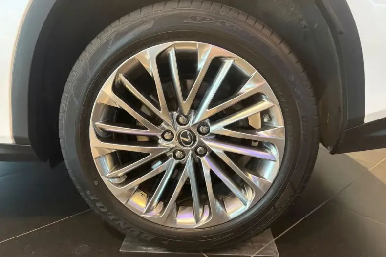 Lexus RX 450 din 2021 cu 96.691 km - oferta LEX181975 - foto 10