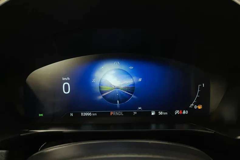 Ford Kuga din 2022 cu 113.996 km - oferta FOR182493 - foto 24