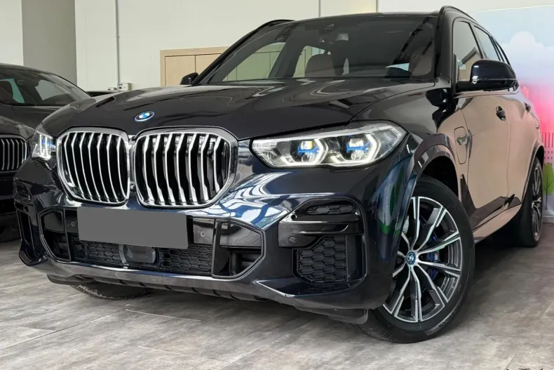 BMW X5 (Seria X) din 2022 cu 115.722 km - oferta BMW182663 - foto 12