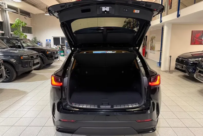 Lexus NX 350h din 2025 cu 20 km - oferta LEX182872 - foto 24