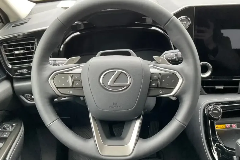 Lexus NX 350h din 2025 cu 100 km - oferta LEX182889 - foto 13