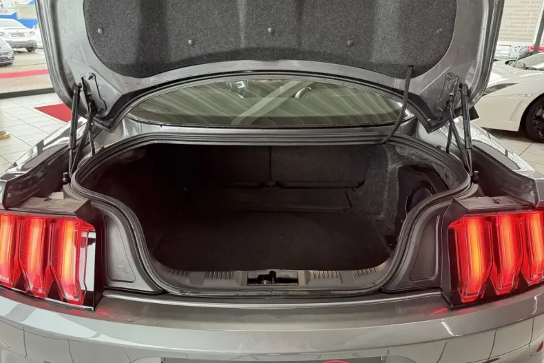 Ford Mustang din 2022 cu 34.100 km - oferta FOR183702 - foto 16