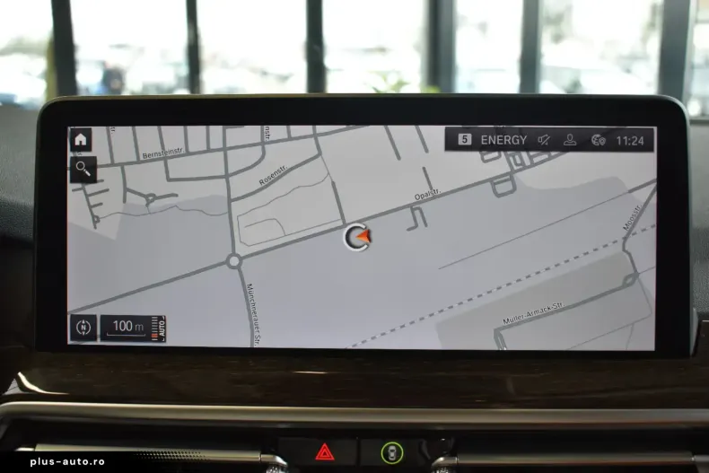 BMW X4 (Seria X) din 2023 cu 7.050 km - oferta BMW185072 - foto 6