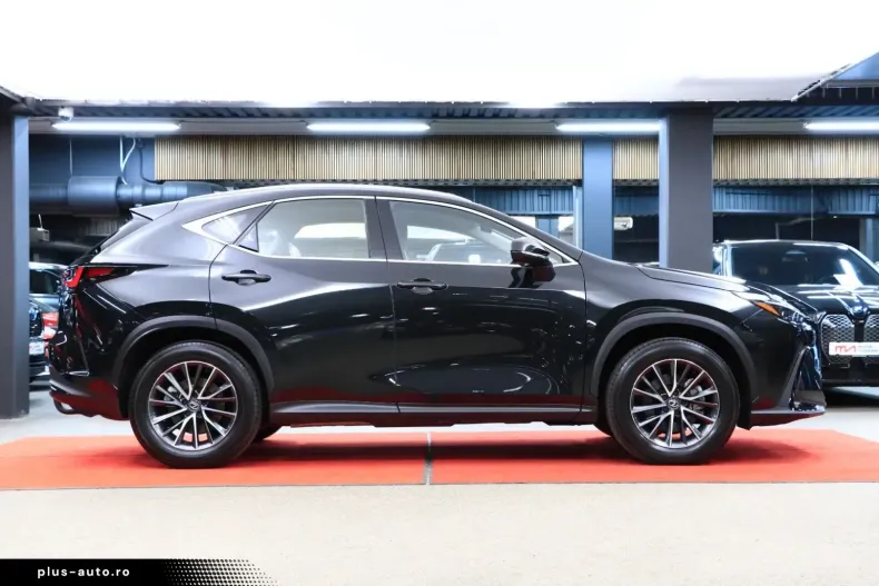 Lexus NX 350h din 2024 cu 16.447 km - oferta LEX185629 - foto 5