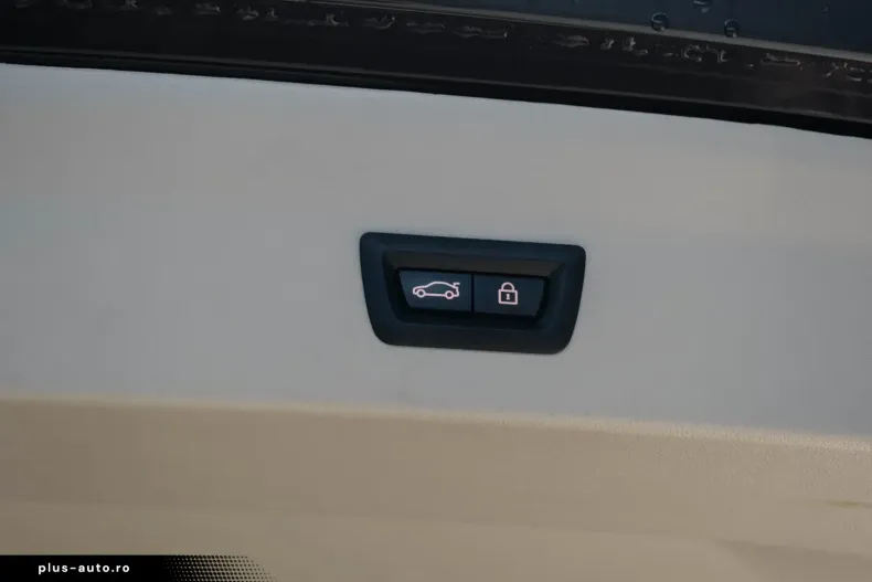 BMW X4 (Seria X) din 2023 cu 28.401 km - oferta BMW185738 - foto 39