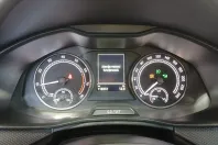 Skoda Scala din 2021 cu 116.972 km - oferta SKO185904 - foto 14