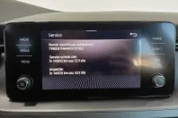 Skoda Scala din 2021 cu 116.972 km - oferta SKO185904 - foto 21