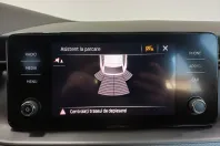 Skoda Scala din 2021 cu 116.972 km - oferta SKO185904 - foto 29