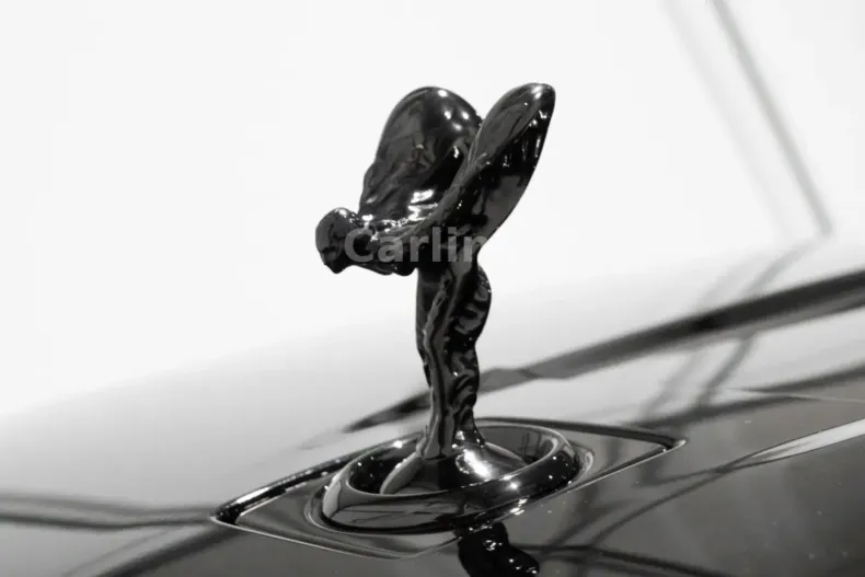 Rolls-Royce Cullinan din 2023 cu 12.550 km - oferta ROL186168 - foto 13