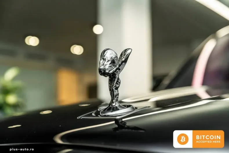 Rolls-Royce Cullinan din 2023 cu 7.050 km - oferta ROL186177 - foto 18