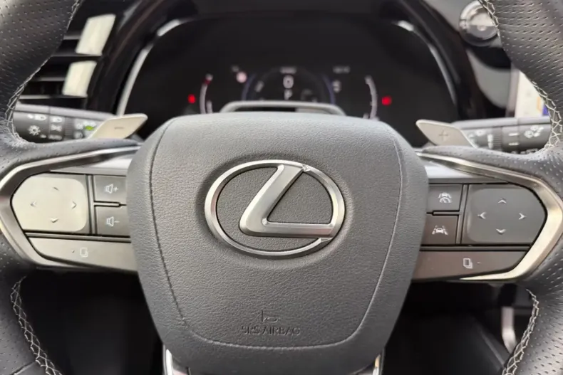 Lexus RX 500 din 2024 cu 30.800 km - oferta LEX186282 - foto 12