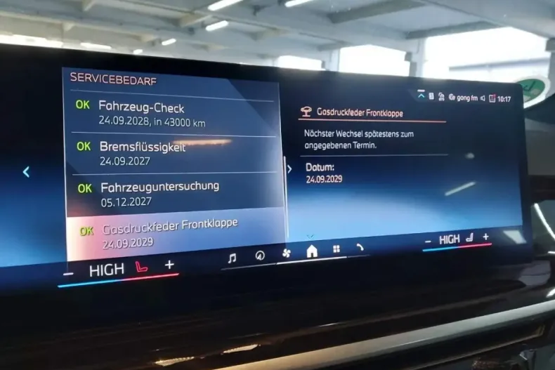 BMW X5 (Seria X) din 2024 cu 13.797 km - oferta BMW186580 - foto 11