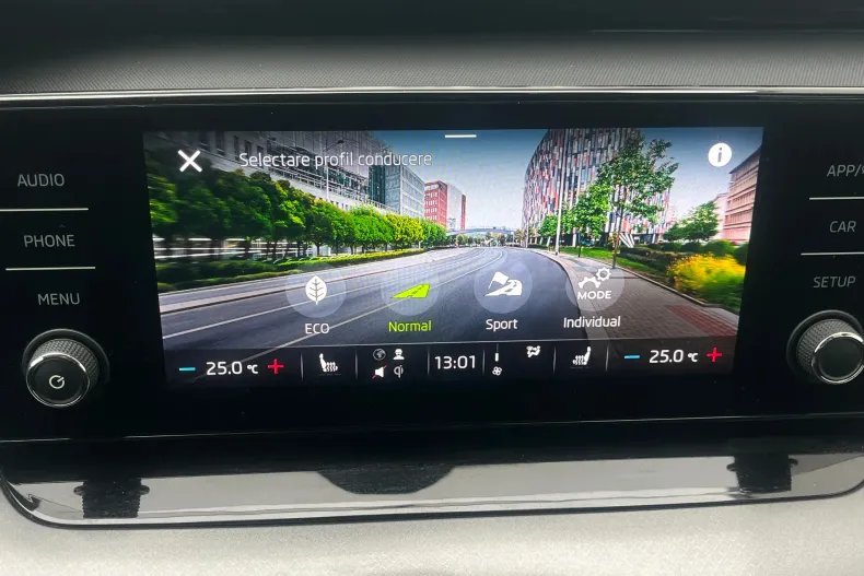 Skoda Octavia din 2022 cu 153.915 km - oferta SKO187180 - foto 23