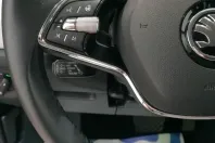 Skoda Kodiaq din 2022 cu 37.933 km - oferta SKO187832 - foto 11