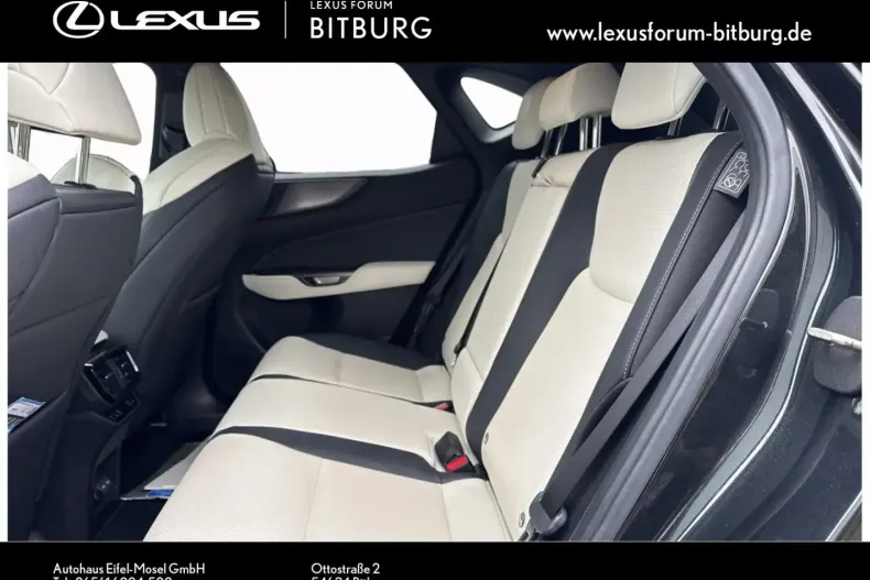 Lexus NX 450h din 2022 cu 45.850 km - oferta LEX187957 - foto 11