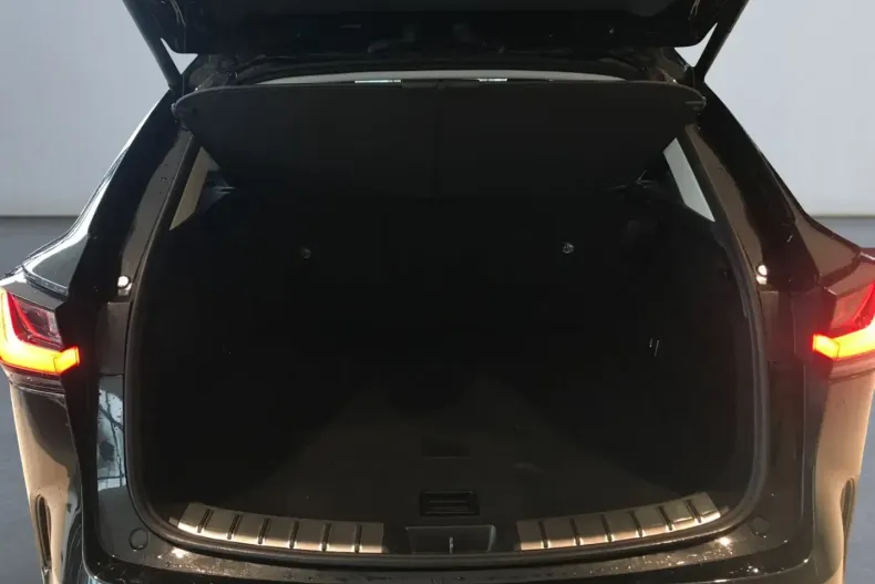 Lexus NX 450h din 2024 cu 29.979 km - oferta LEX187959 - foto 15