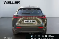 Lexus NX 450h din 2025 cu 13.403 km - oferta LEX187960 - foto 5