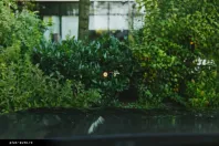 BMW X4 (Seria X) din 2023 cu 27.000 km - oferta BMW188325 - foto 9