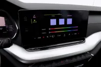 Skoda Octavia din 2022 cu 159.828 km - oferta SKO188766 - foto 19