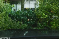 BMW X4 (Seria X) din 2023 cu 27.000 km - oferta BMW189044 - foto 9