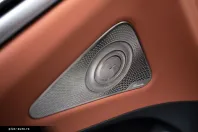 Mercedes-Benz S 580 (Clasa S) din 2023 cu 76.500 km - oferta MER189359 - foto 19