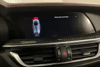 Alfa Romeo Stelvio din 2021 cu 69.080 km - oferta ALF189851 - foto 15