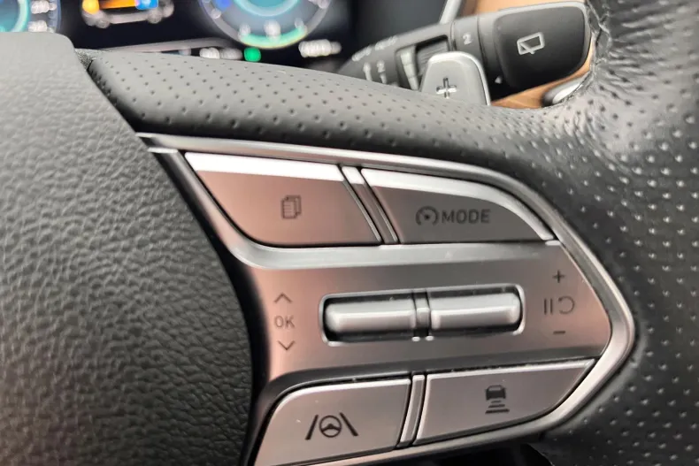 Hyundai SANTA FE din 2022 cu 74.500 km - oferta HYU191155 - foto 39