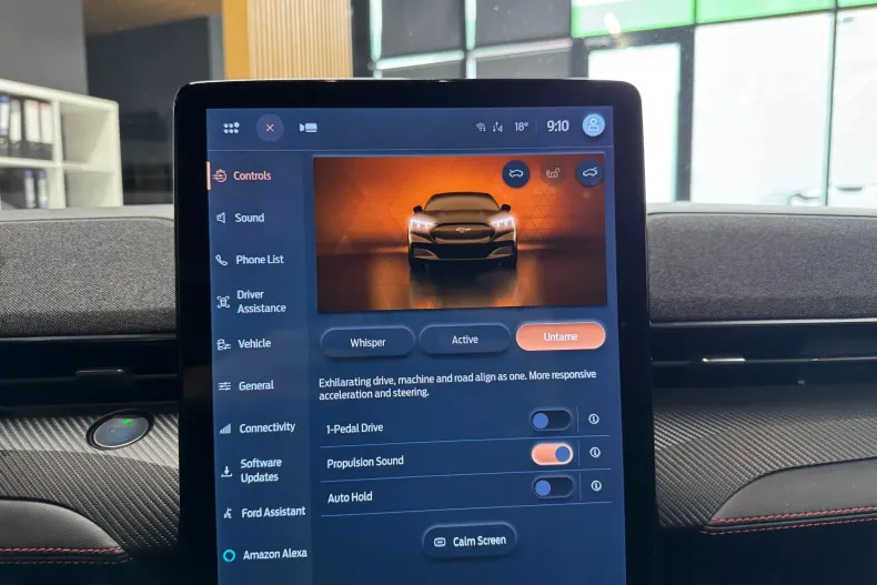 Ford Mustang Mach-E din 2022 cu 111.525 km - oferta FOR191162 - foto 12