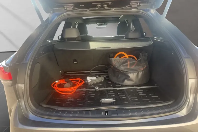 Lexus RX 450 din 2024 cu 81.000 km - oferta LEX191176 - foto 19