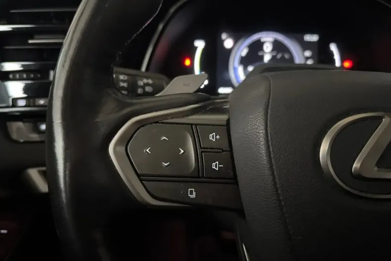 Lexus RX 450 din 2023 cu 40.495 km - oferta LEX191177 - foto 25