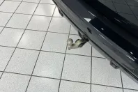 BMW X5 (Seria X) din 2024 cu 16.900 km - oferta BMW191459 - foto 27