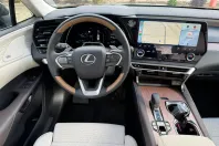 Lexus Seria RX din 2025 cu 3.000 km - oferta LEX192225 - foto 11