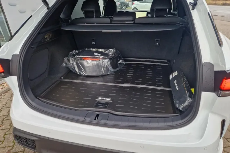 Lexus Seria RX din 2024 cu 23.824 km - oferta LEX192359 - foto 10