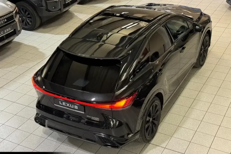 Lexus RX 500 din 2025 cu 25 km - oferta LEX192791 - foto 3