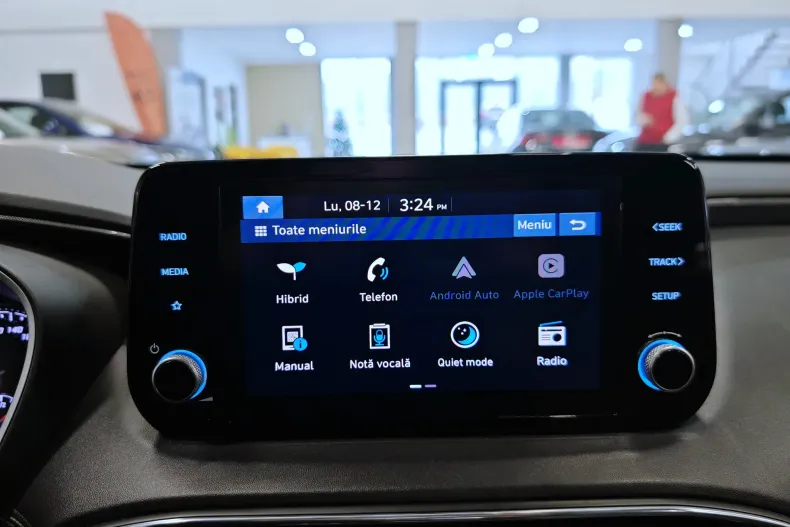 Hyundai Santa Fe din 2023 cu 107.328 km - oferta HYU192922 - foto 15