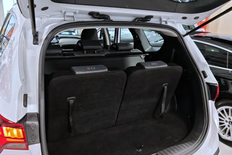 Hyundai Santa Fe din 2023 cu 107.328 km - oferta HYU192922 - foto 33