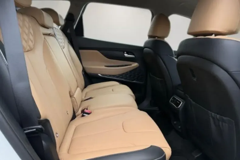 Hyundai Santa Fe din 2024 cu 12.933 km - oferta HYU193016 - foto 13