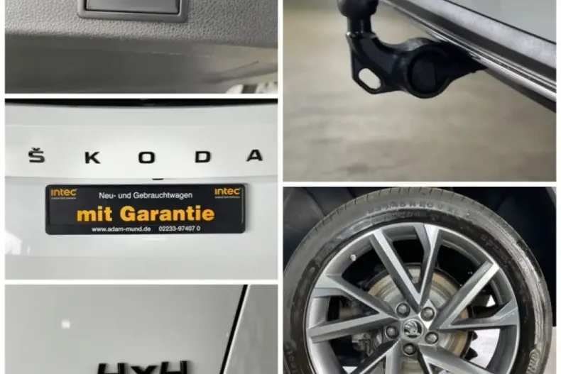 Skoda Kodiaq din 2024 cu 21.469 km - oferta SKO193061 - foto 12