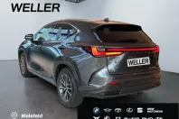 Lexus NX 450h din 2025 cu 13.067 km - oferta LEX193246 - foto 5