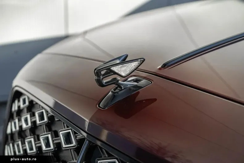 Bentley Flying Spur din 2025 cu 2.443 km - oferta BEN193937 - foto 42