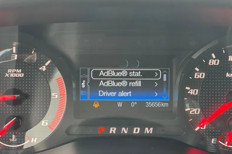 Ford Raptor din 2020 cu 35.656 km - oferta FOR194213 - foto 25