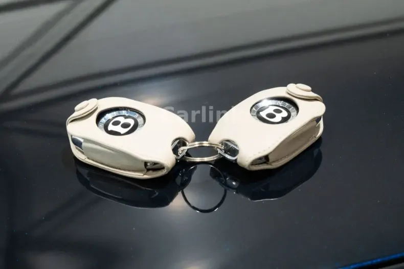 Bentley Continental GT din 2024 cu 17.485 km - oferta BEN194480 - foto 16