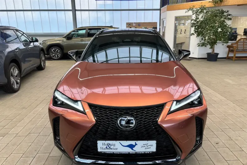 Lexus UX din 2024 cu 10.600 km - oferta LEX194586 - foto 8